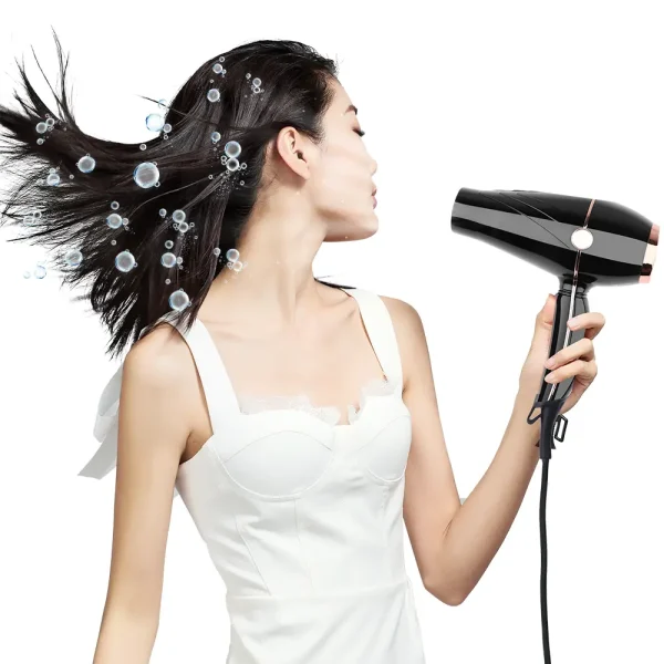 Hair Dryer LS 081 (3)