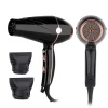Hair Dryer LS 081 (1)