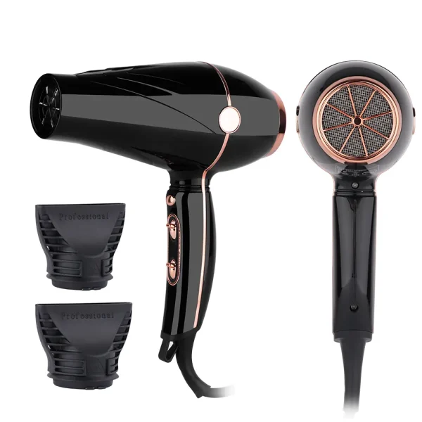 Hair Dryer LS 081 (1)