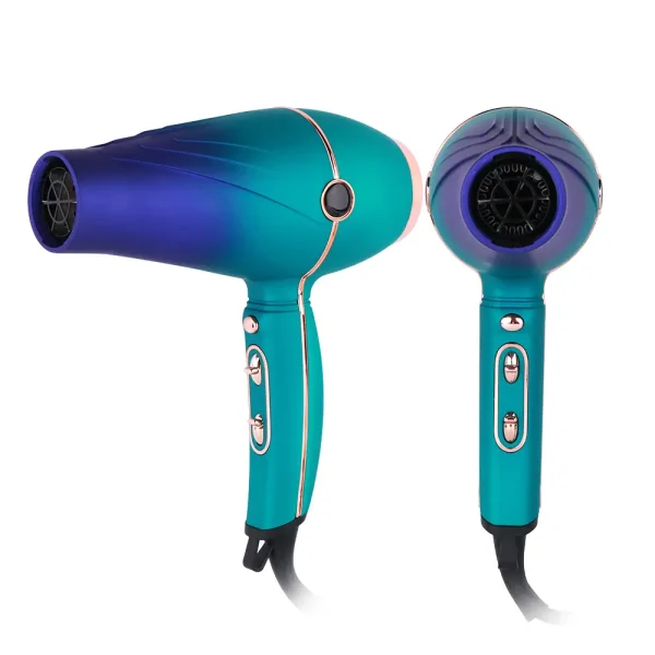 Hair Dryer LS 081 (5)