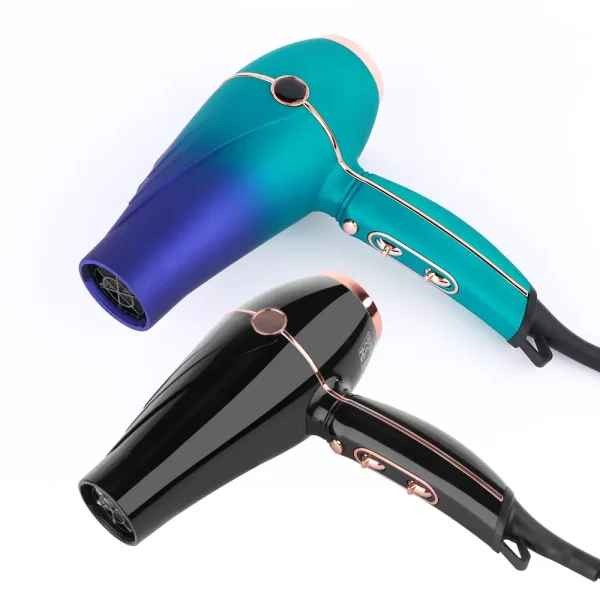 Hair Dryer LS 081 (2)