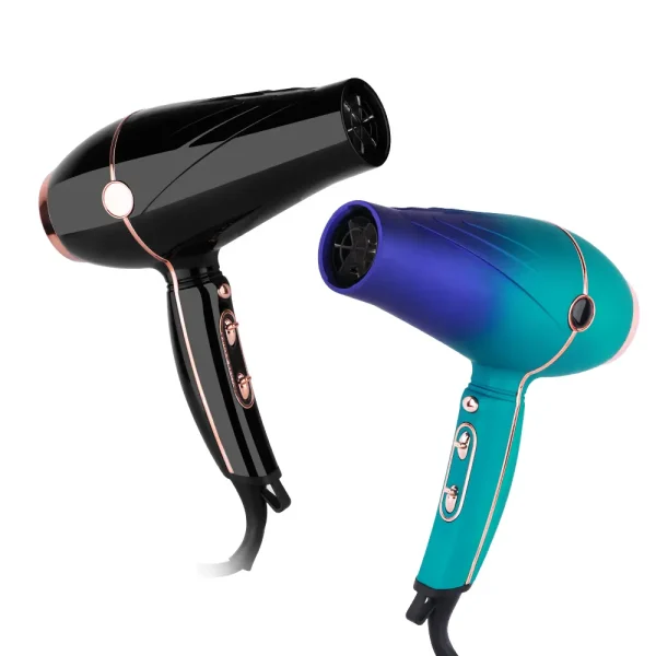 Hair Dryer LS 081 (10)