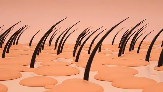 1651789195991302145