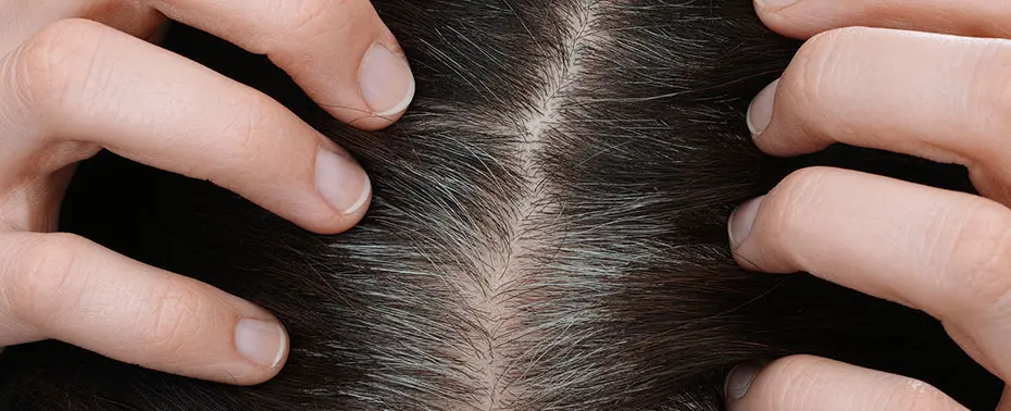 How Does Hair Growth Work